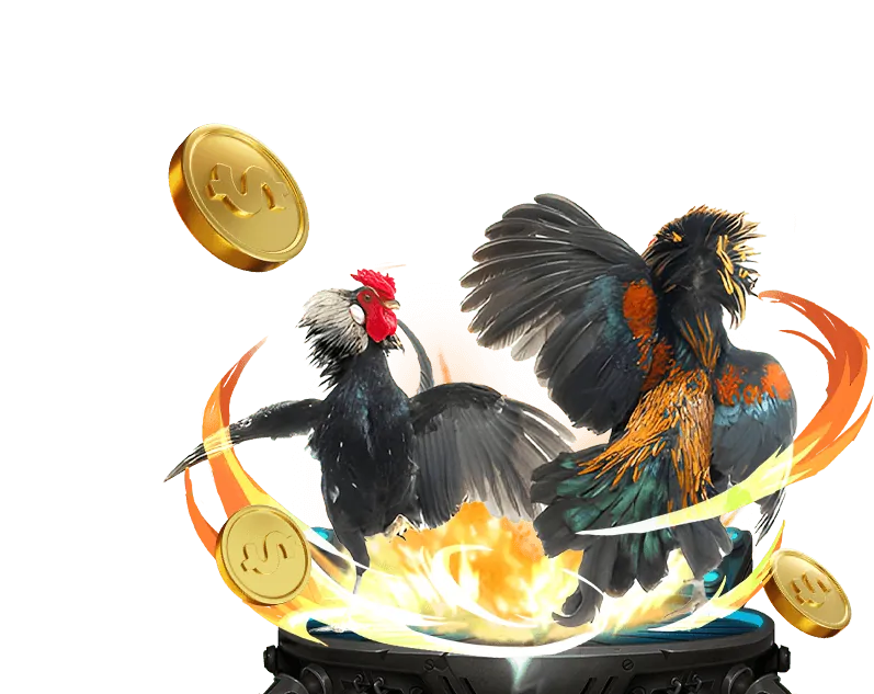 Độ biến động trò chơi tại e88 nhà cái ee88